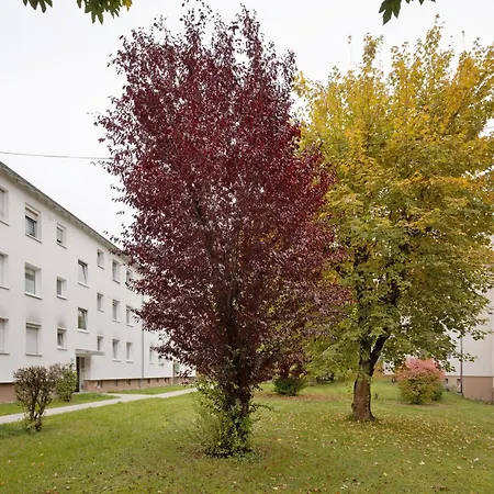 Business In Oberkochen